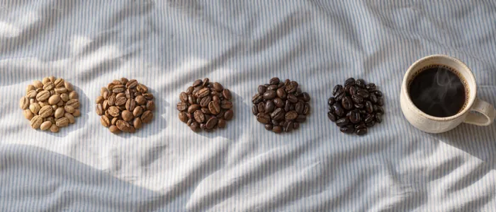 Coffee beans from light to dark roast beside a cup